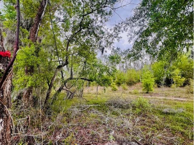 NE 998th Avenue Branford FL 32008 GC529908 image8