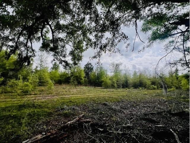 NE 998th Avenue Branford FL 32008 GC529908 image9