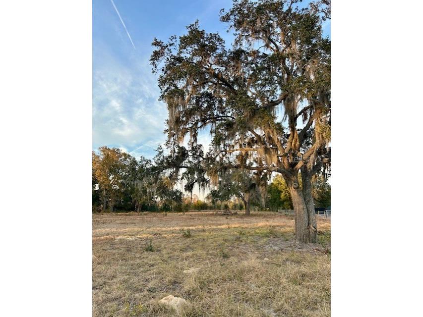 NE 99th Place Archer FL 32618 GC526749 image1