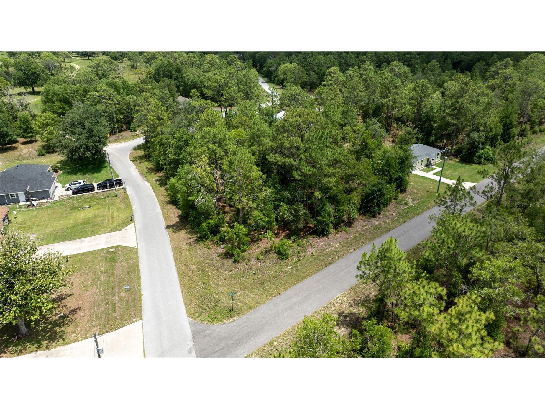 Ne 9th St Williston FL 32696 OM725817 image1