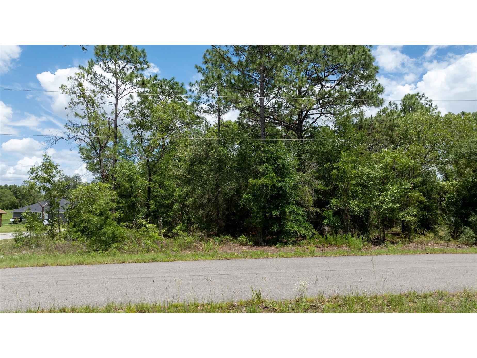 Ne 9th St Williston FL 32696 OM725817 image10