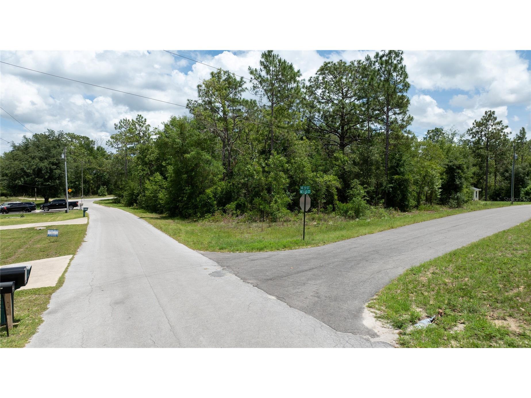Ne 9th St Williston FL 32696 OM725817 image11