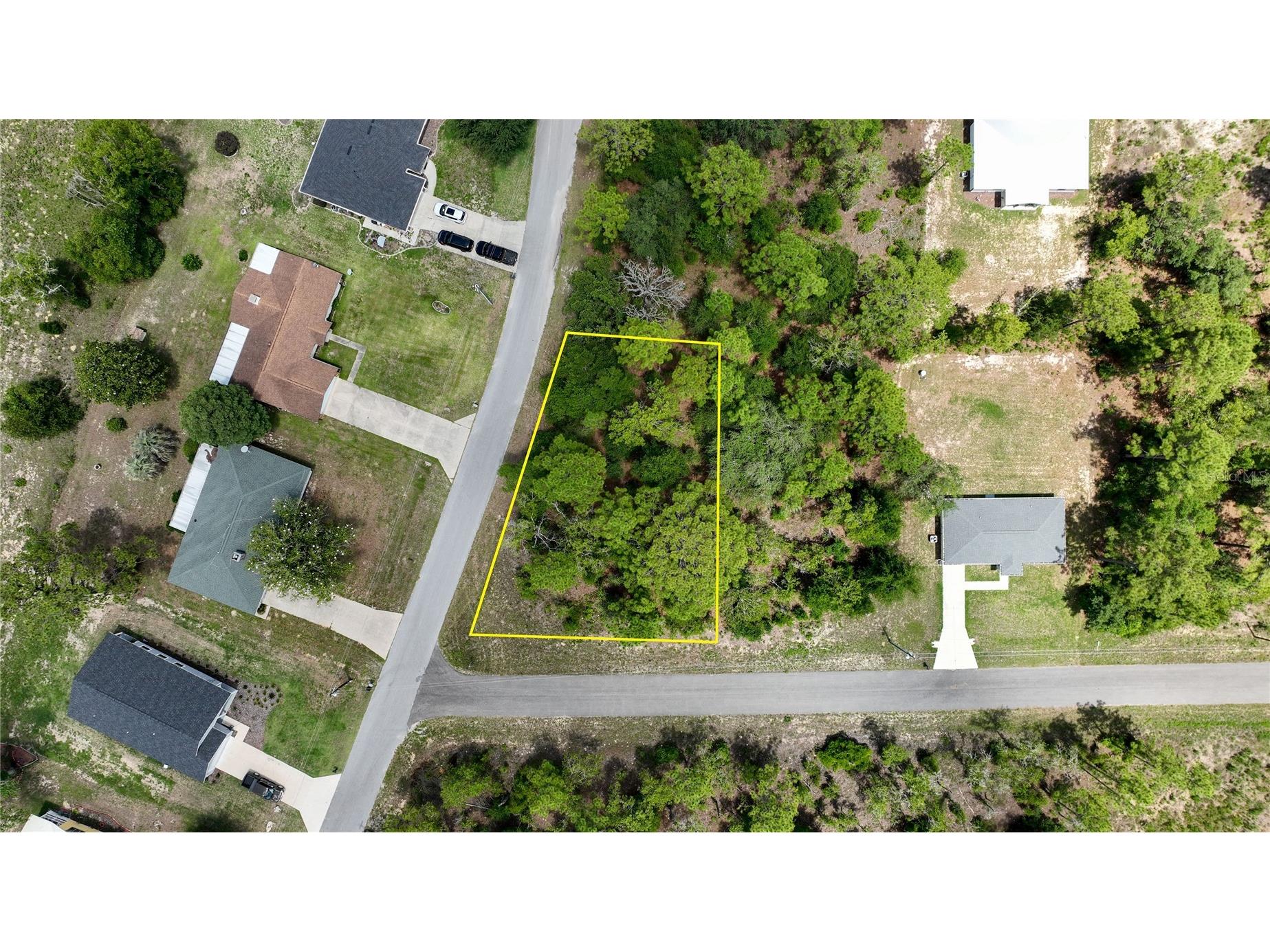 Ne 9th St Williston FL 32696 OM725817 image2