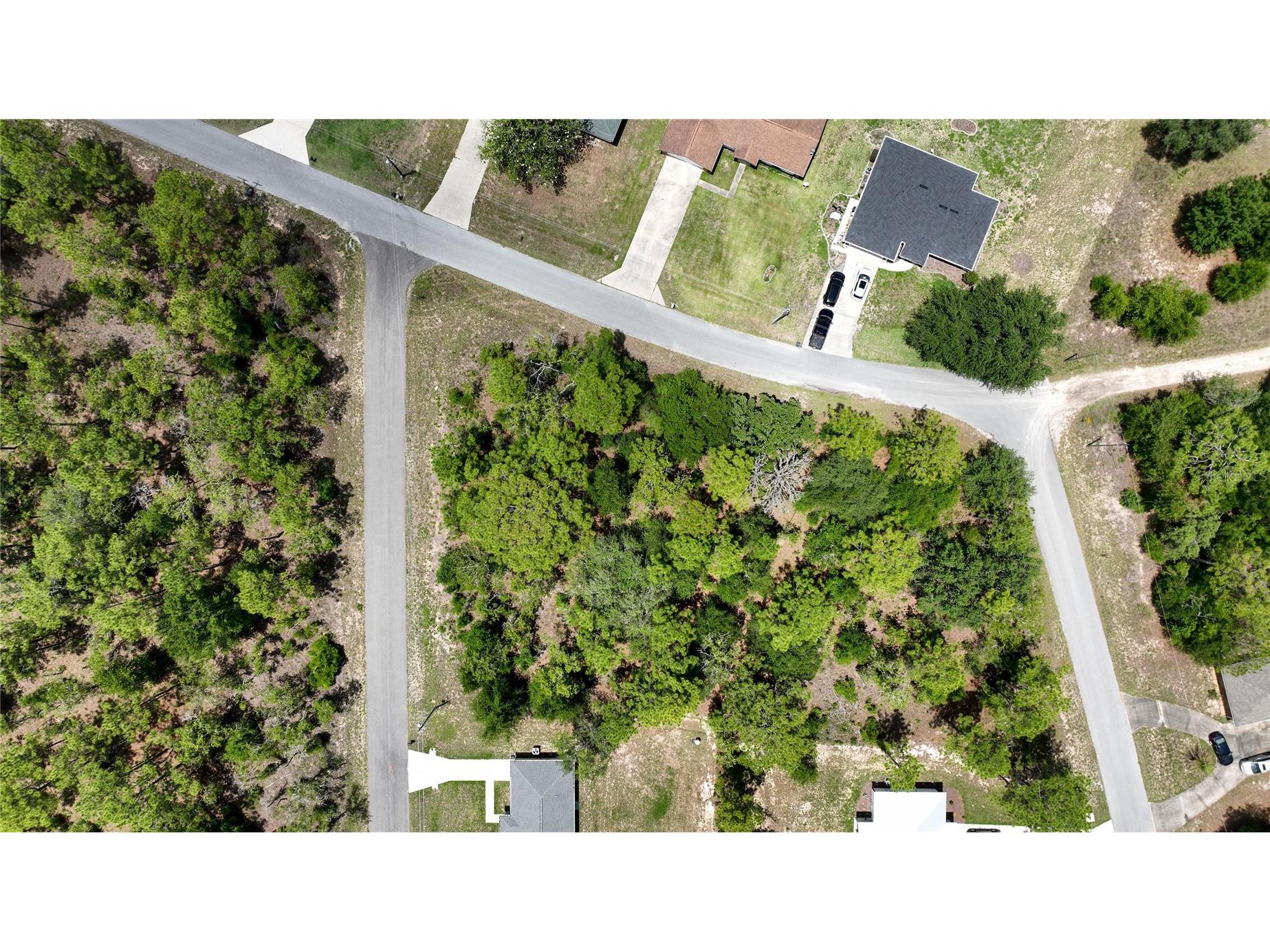Ne 9th St Williston FL 32696 OM725817 image3