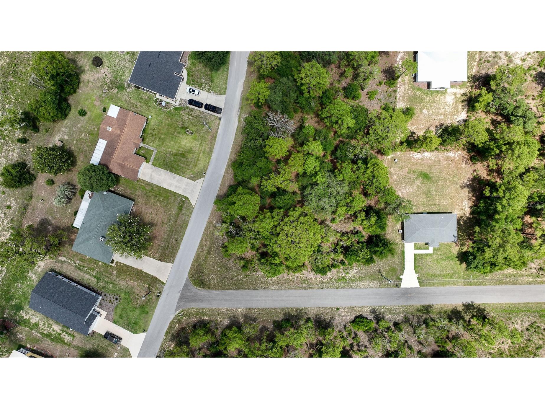 Ne 9th St Williston FL 32696 OM725817 image4