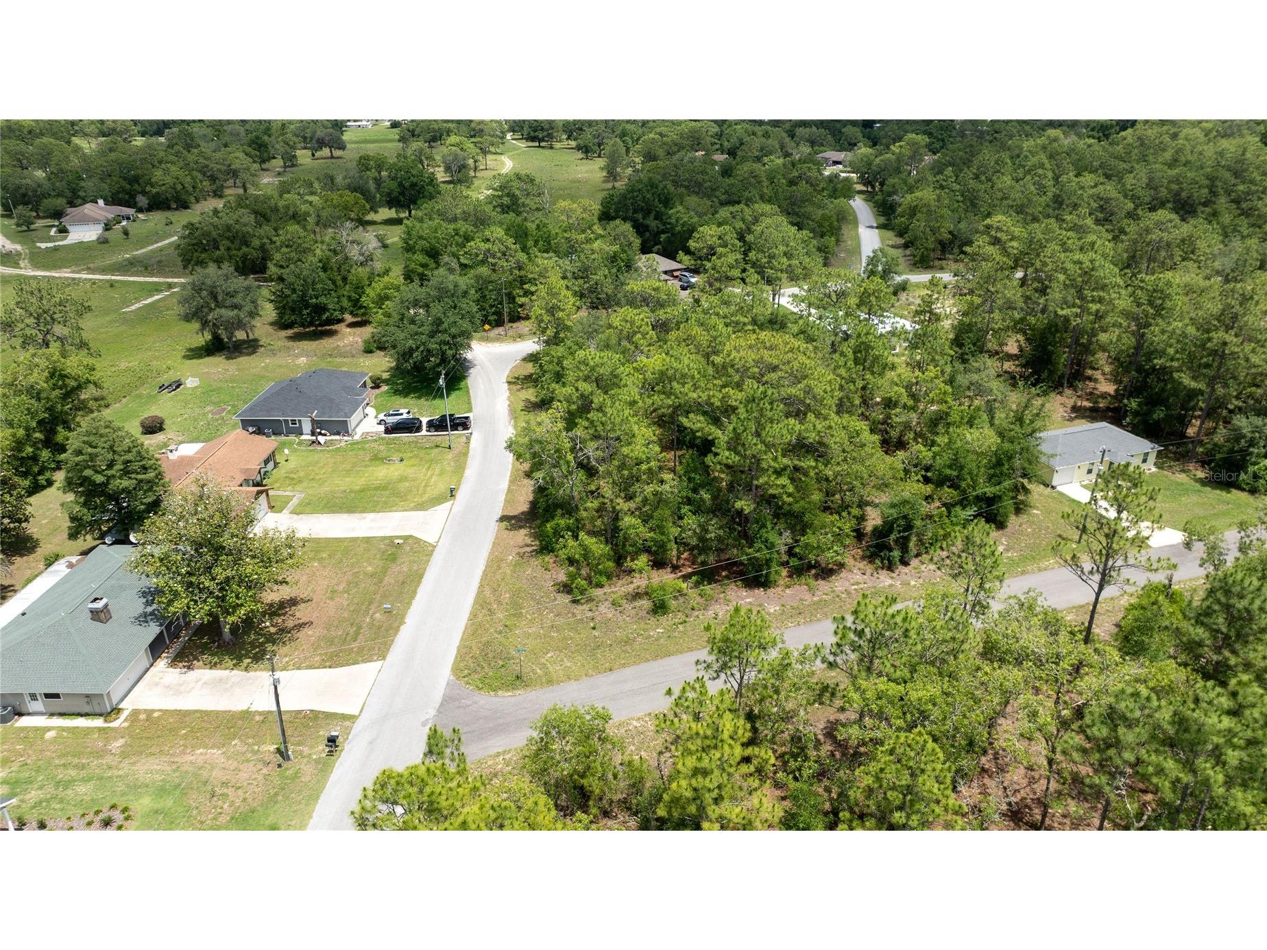 Ne 9th St Williston FL 32696 OM725817 image5