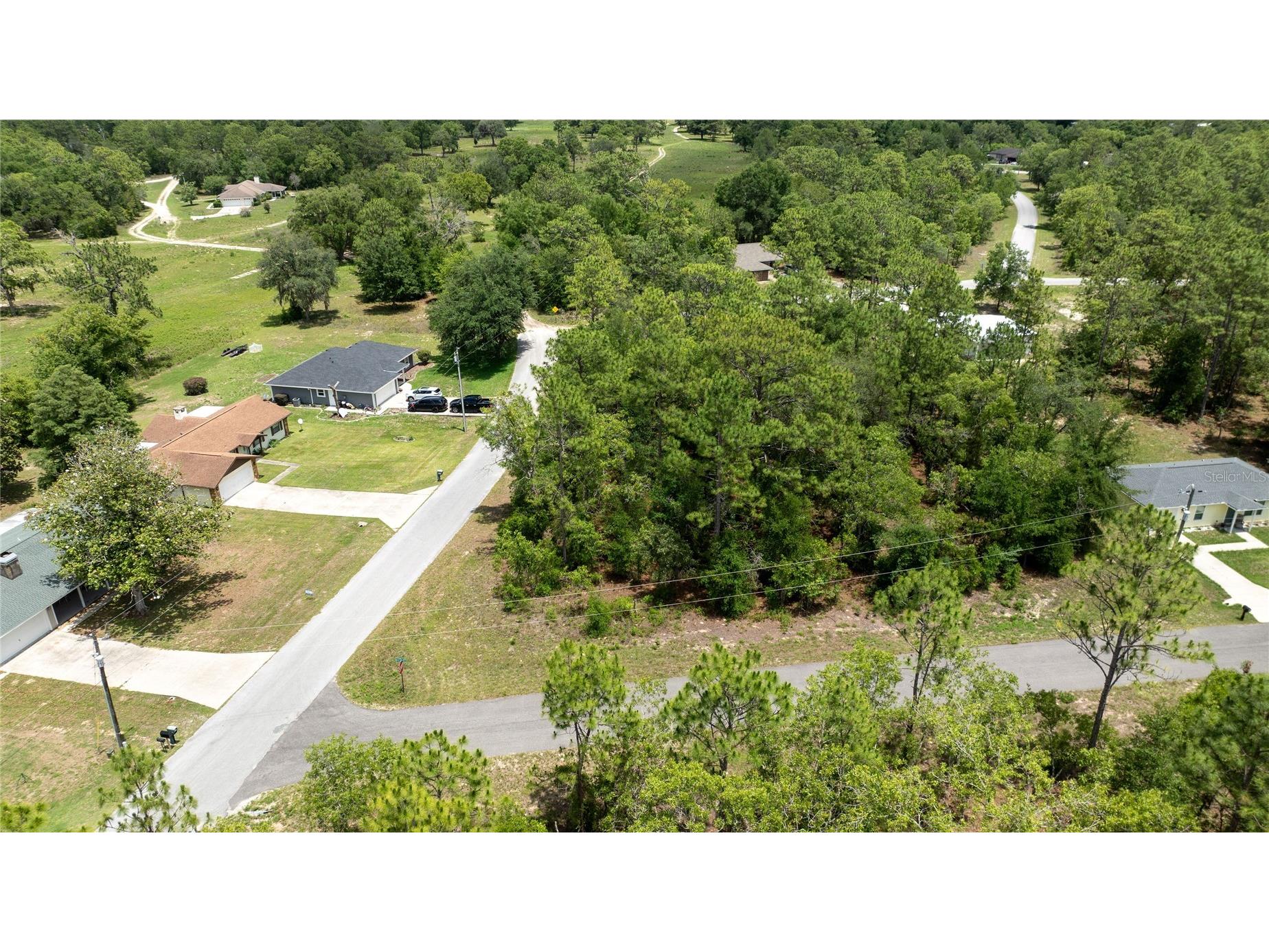 Ne 9th St Williston FL 32696 OM725817 image6