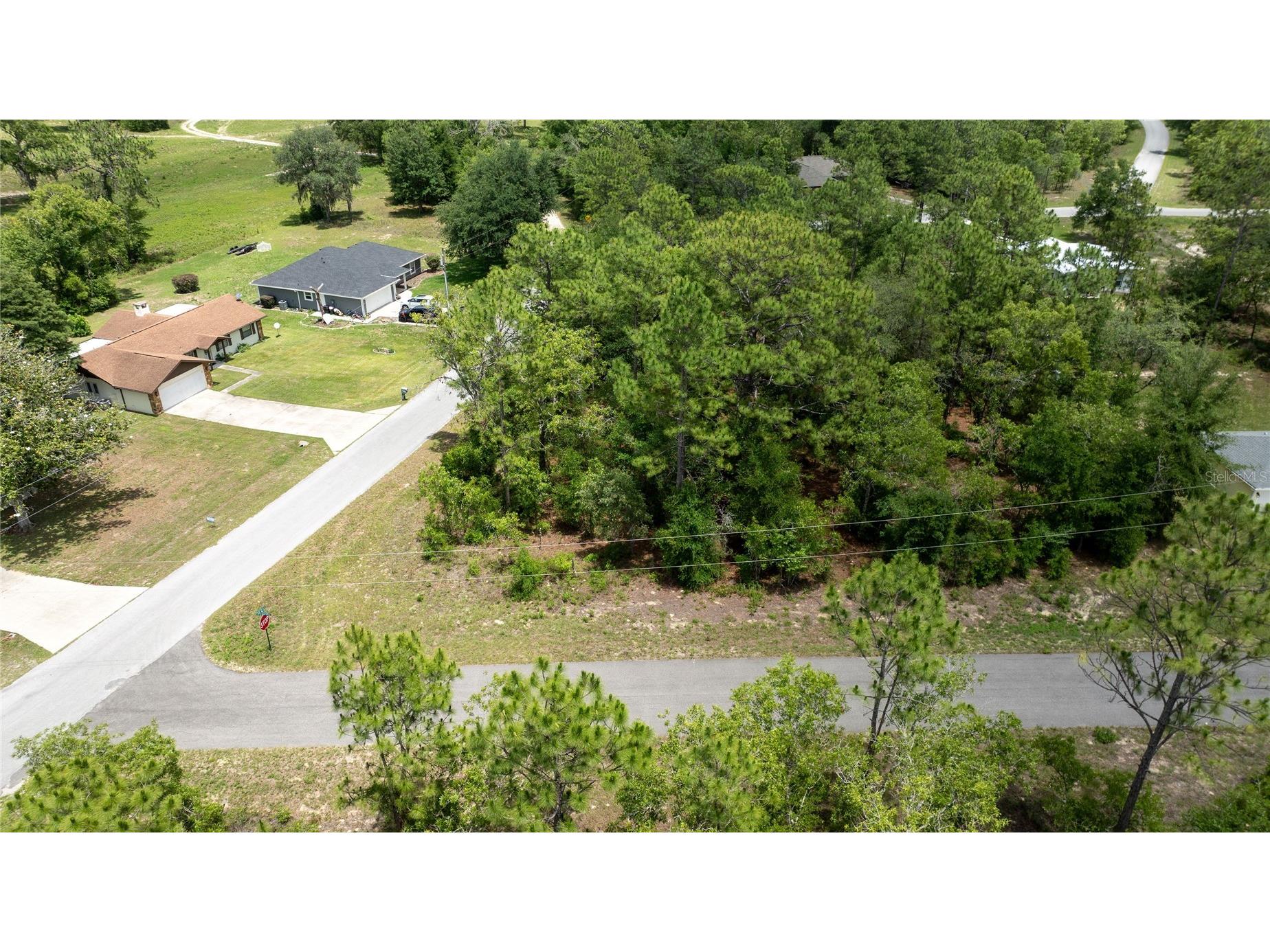 Ne 9th St Williston FL 32696 OM725817 image7
