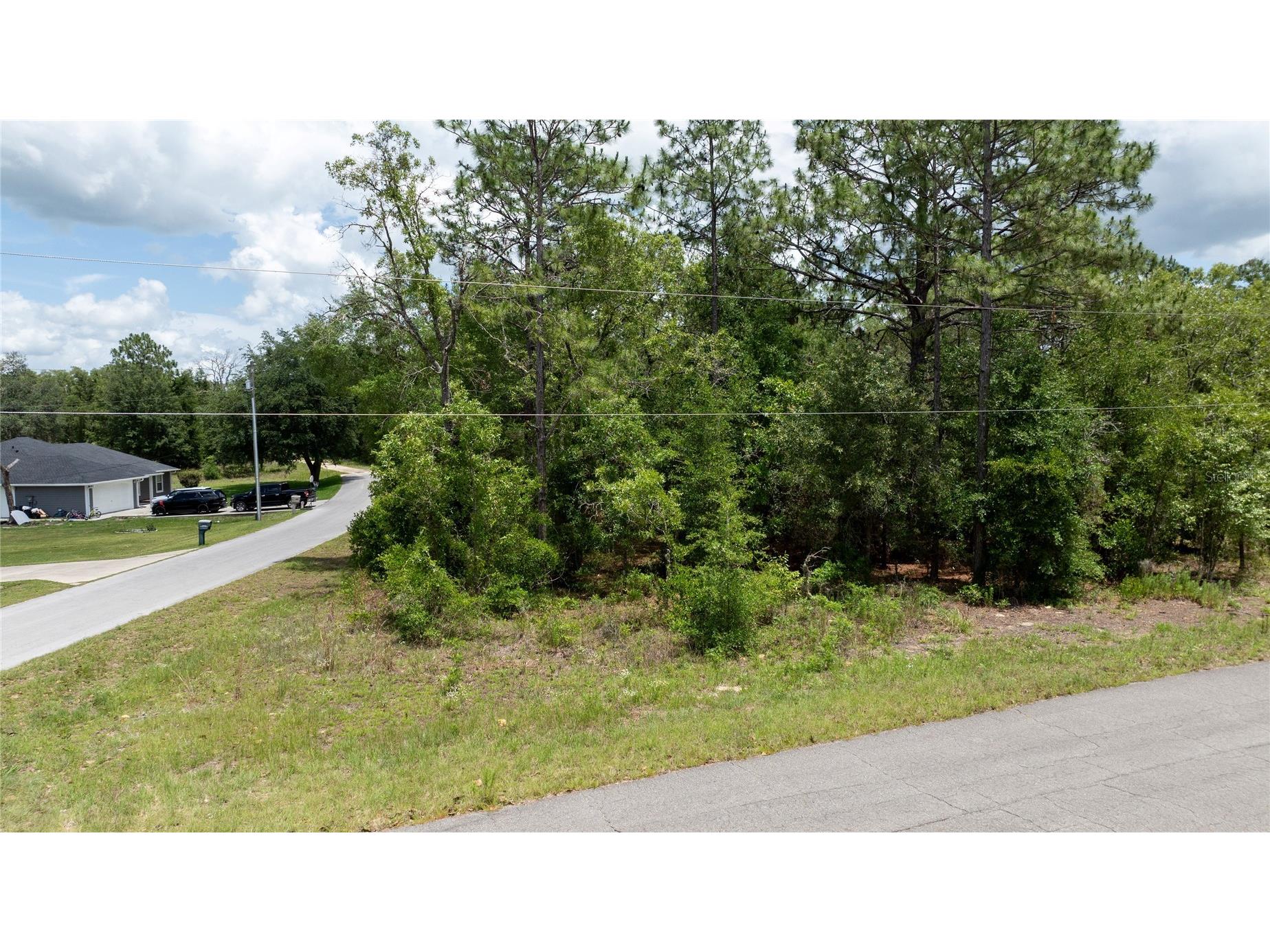 Ne 9th St Williston FL 32696 OM725817 image8