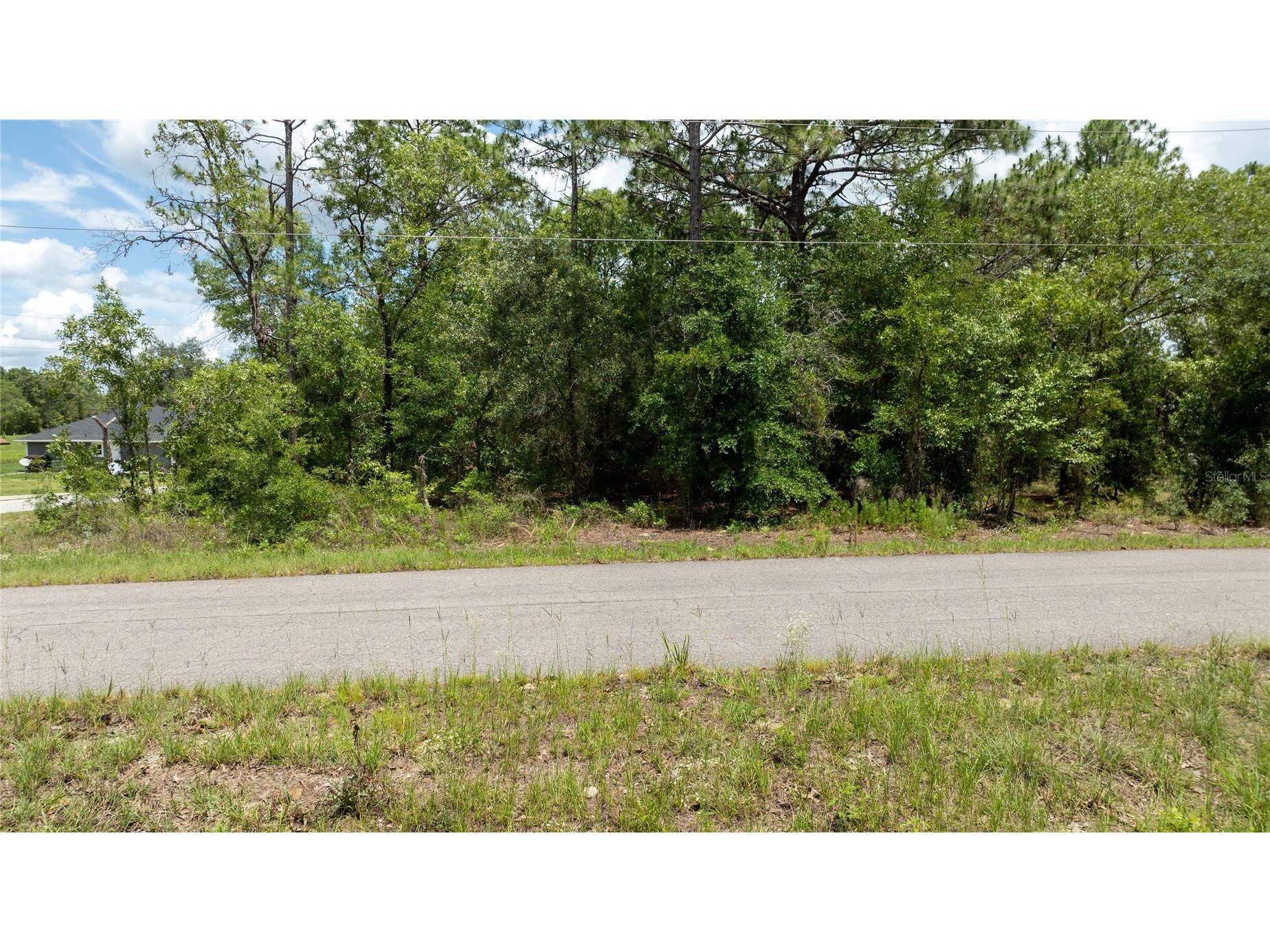 Ne 9th St Williston FL 32696 OM725817 image9
