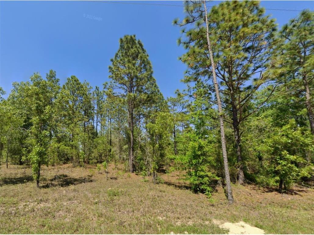 NE 9th Street Williston FL 32696 O6287382 image1