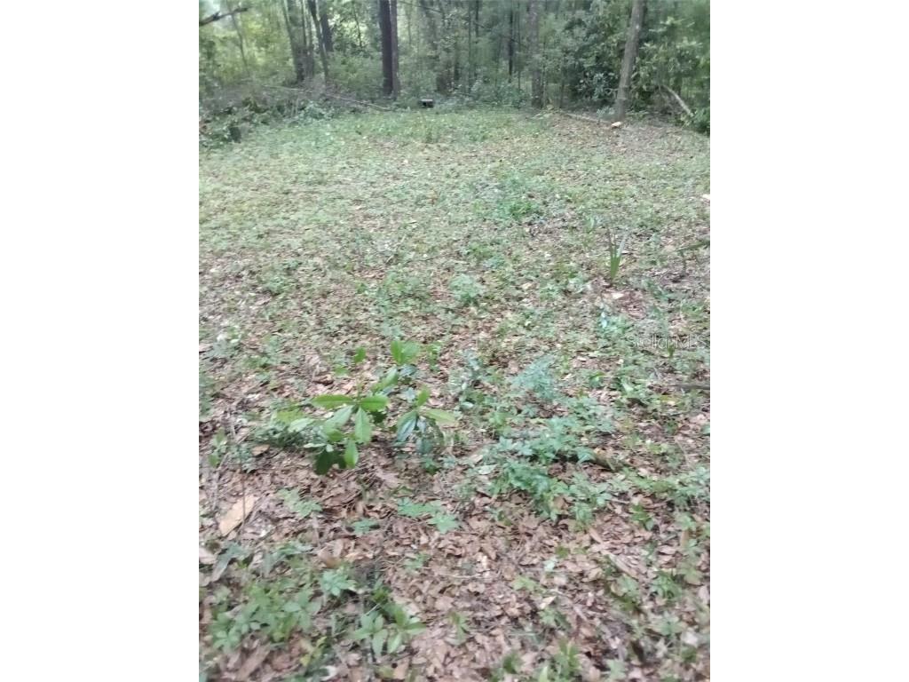 NE Anna Ave Live Oak FL 32064 A4560333 image1