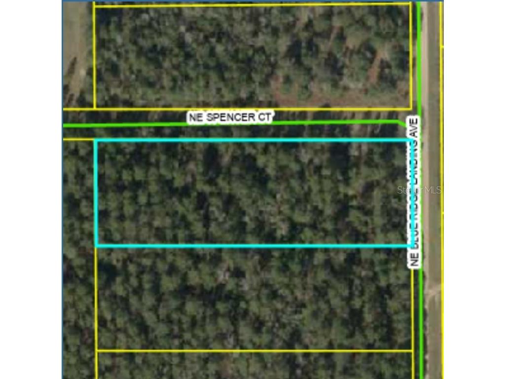 NE Blue Ridge Landing Avenue Lee FL 32059 GC524020 image1