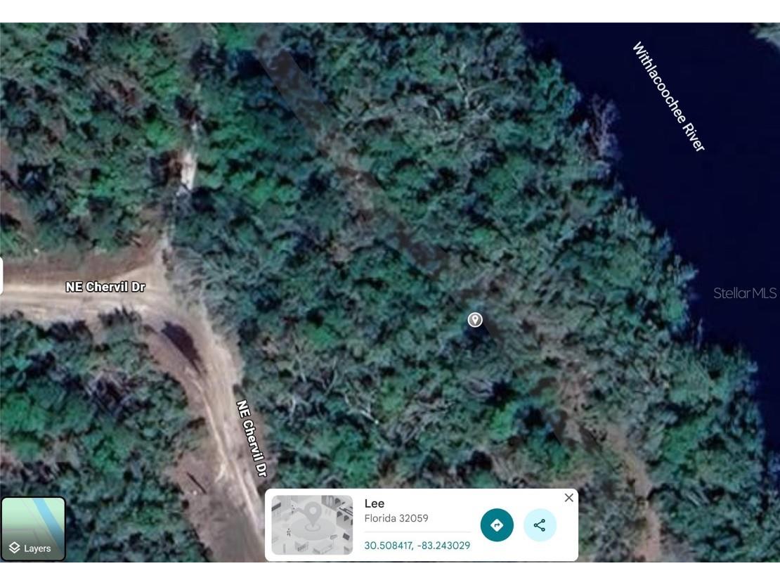 Ne Chervil Drive Lee FL 32059 - WITHLACOOCHEE RIVER O6370582 image2