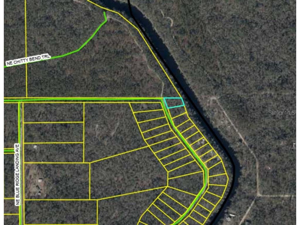 Ne Chervil Drive Lee FL 32059 - WITHLACOOCHEE RIVER O6370582 image3