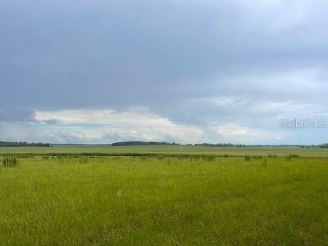 NE Chitty Bend Trail Lee FL 32059 O6118566 image1