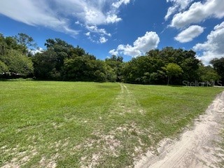 Ne Fourth Street Webster FL 33597 G5083943 image2