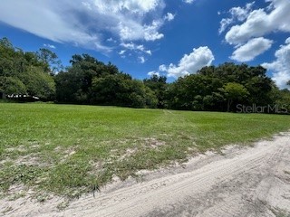 Ne Fourth Street Webster FL 33597 G5083943 image4