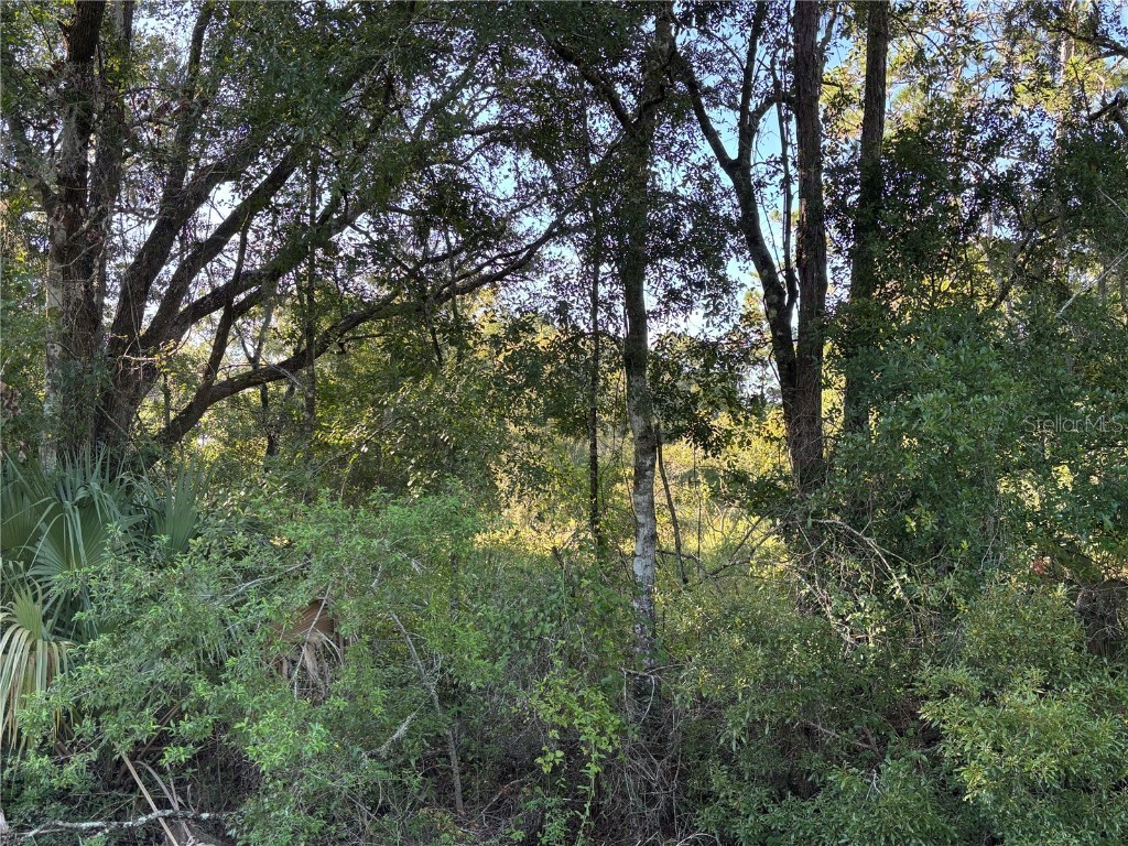 NE Highway 351 Cross City FL 32628 GC533014 image10