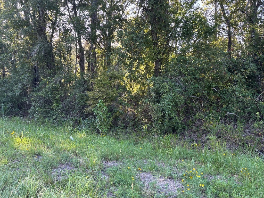 NE Highway 351 Cross City FL 32628 GC533014 image4