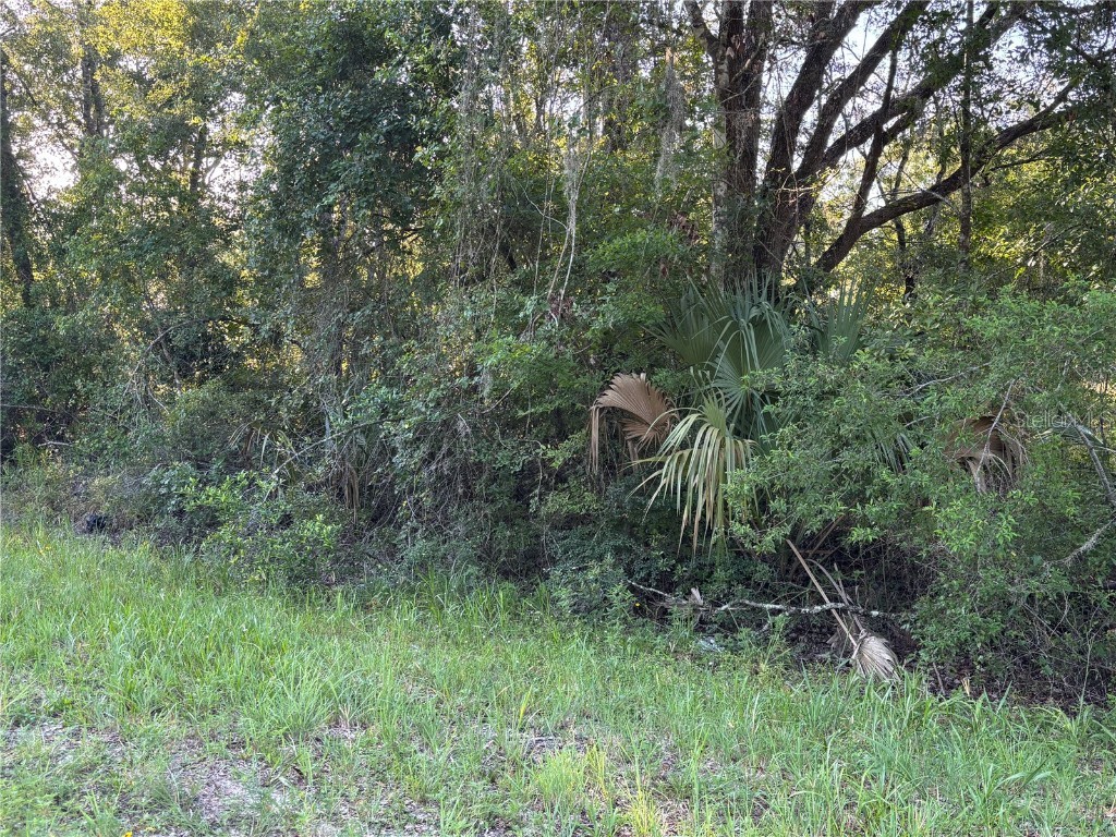 NE Highway 351 Cross City FL 32628 GC533014 image5