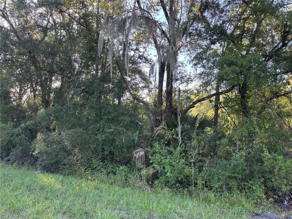 NE Highway 351 Cross City FL 32628 GC533014 image6