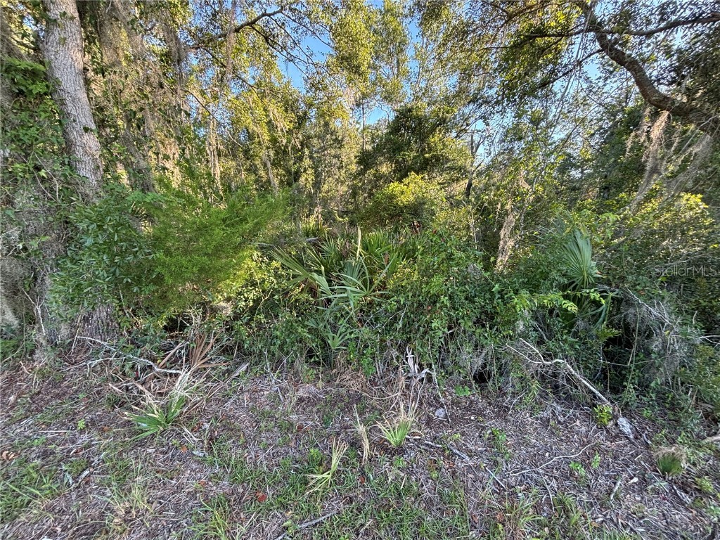 NE Highway 351 Cross City FL 32628 GC533014 image7