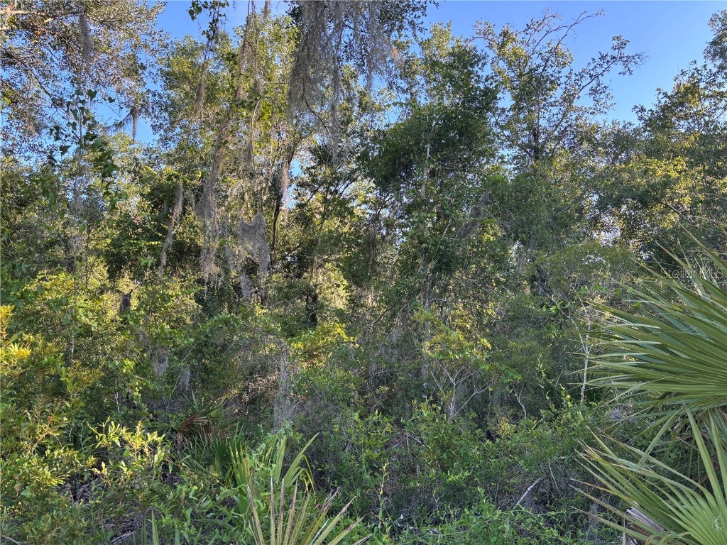 NE Highway 351 Cross City FL 32628 GC533014 image9