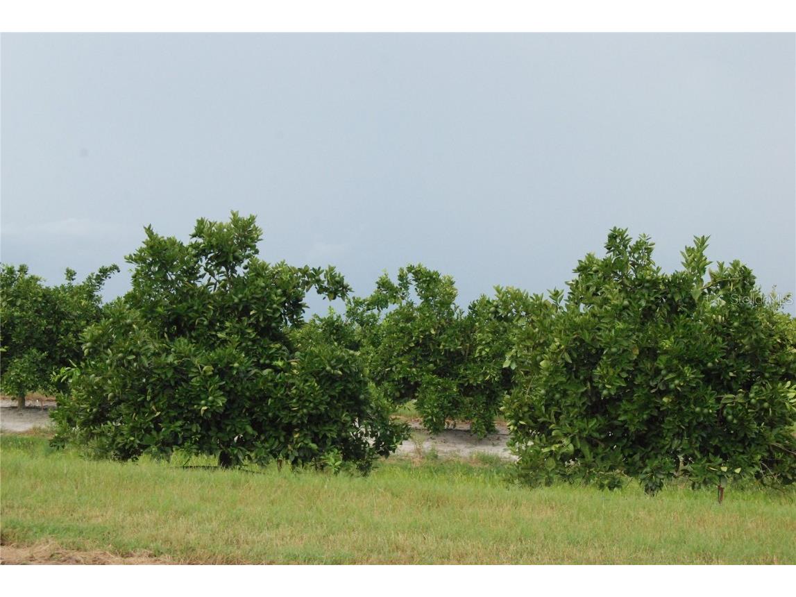 NE Highway 70 #3-10-02 Arcadia FL 34266 O6238082 image1