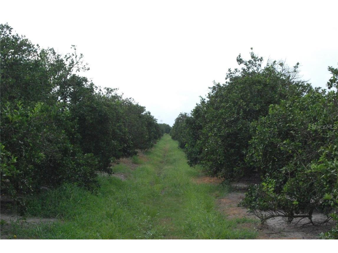 NE Highway 70 #3-19-08 Arcadia FL 34266 O6237593 image1