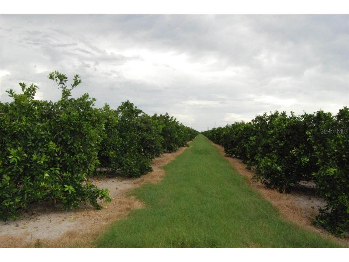 NE Highway 70 #3-21-50 Arcadia FL 34266 O6238093 image1