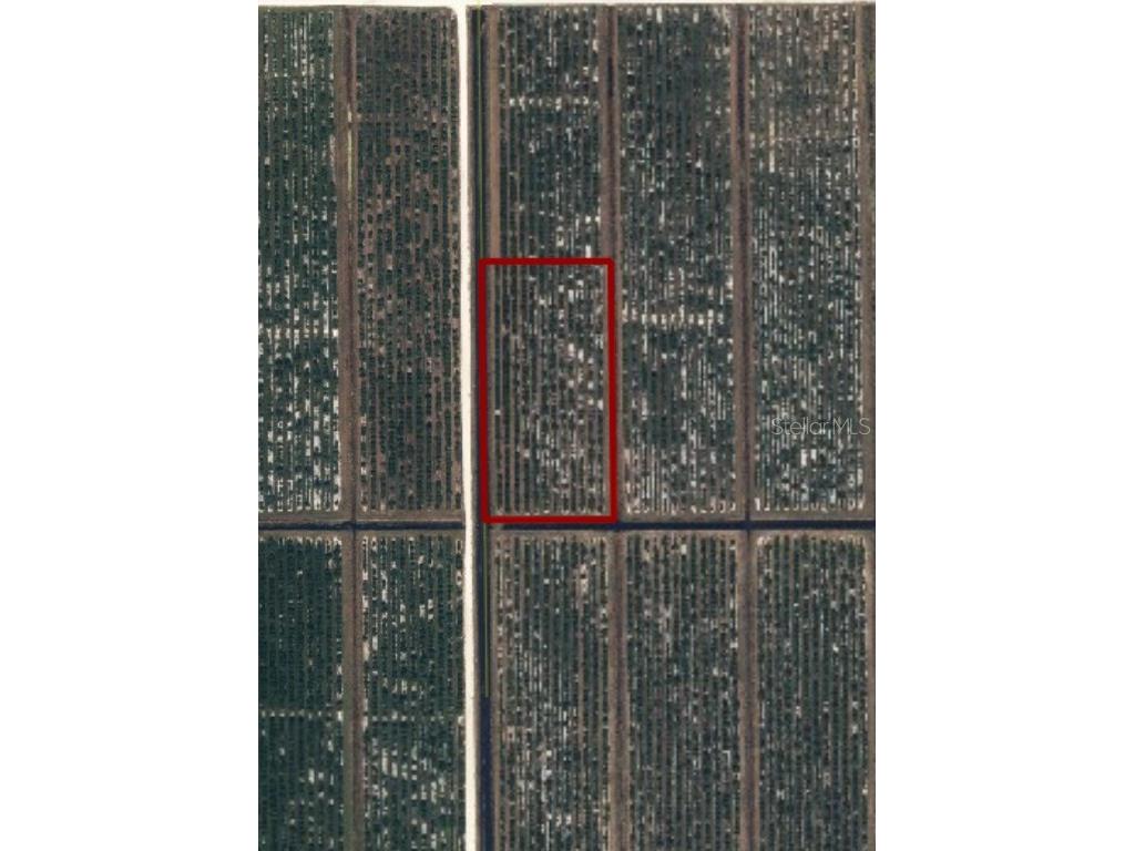 NE Highway 70 Arcadia FL 34266 A4662863 image1