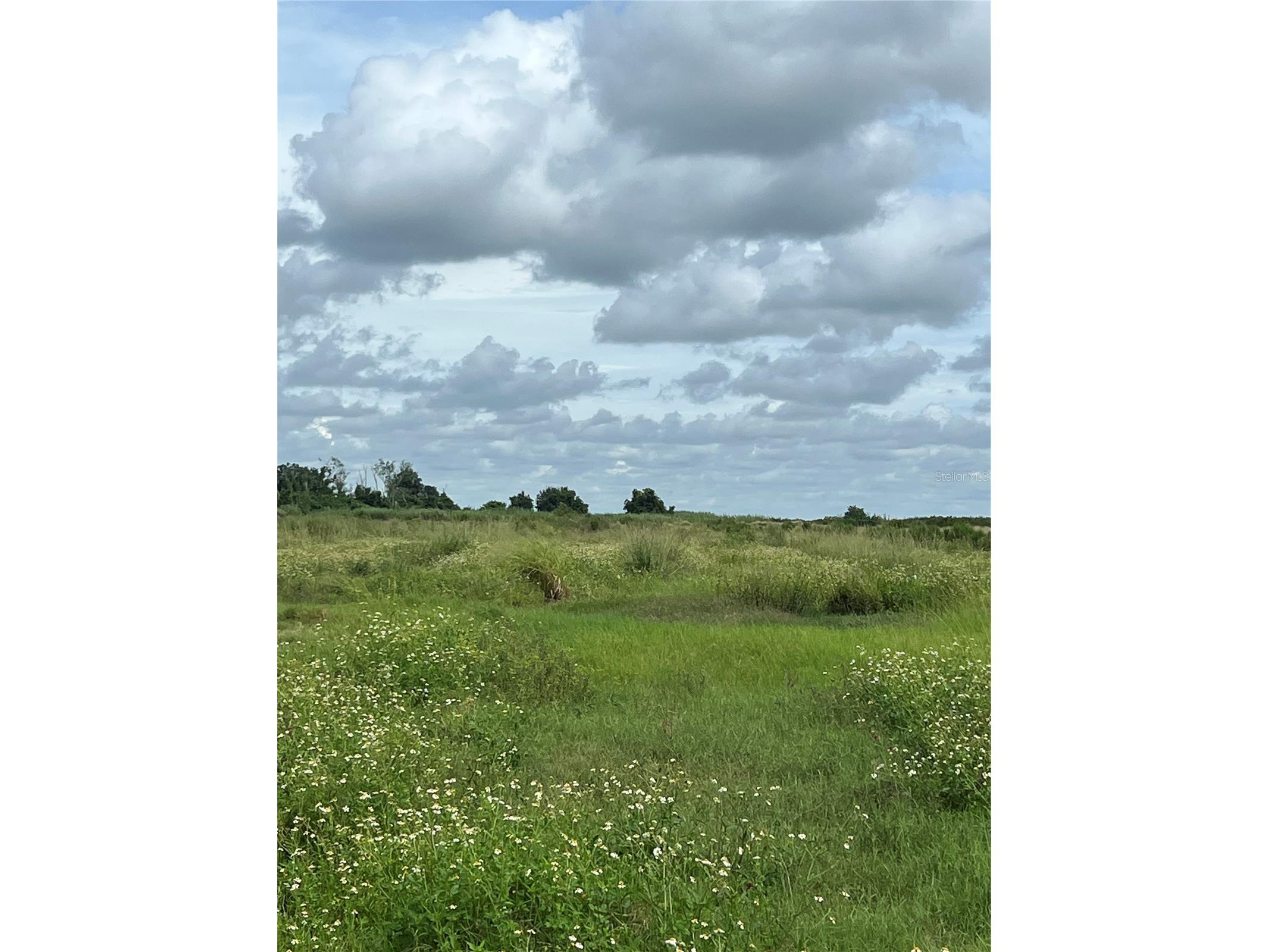 NE Highway 70 Arcadia FL 34266 A4664557 image1