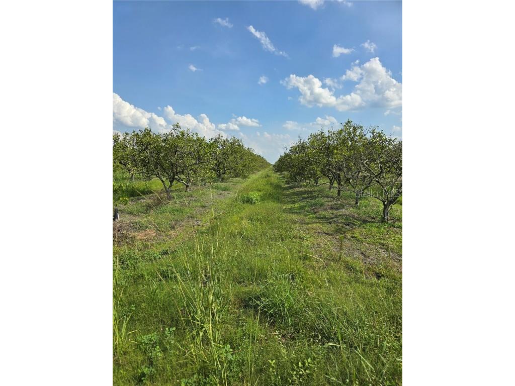 NE Highway 70 Arcadia FL 34266 C7510358 image1