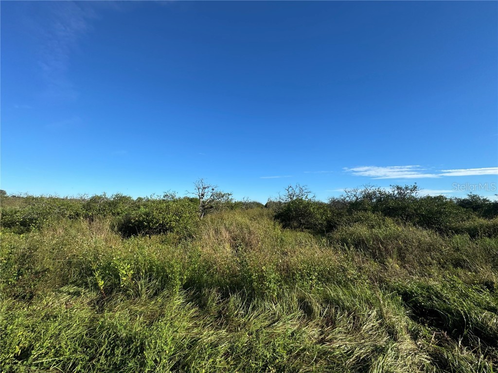 NE Highway 70 Arcadia FL 34266 C7514751 image2