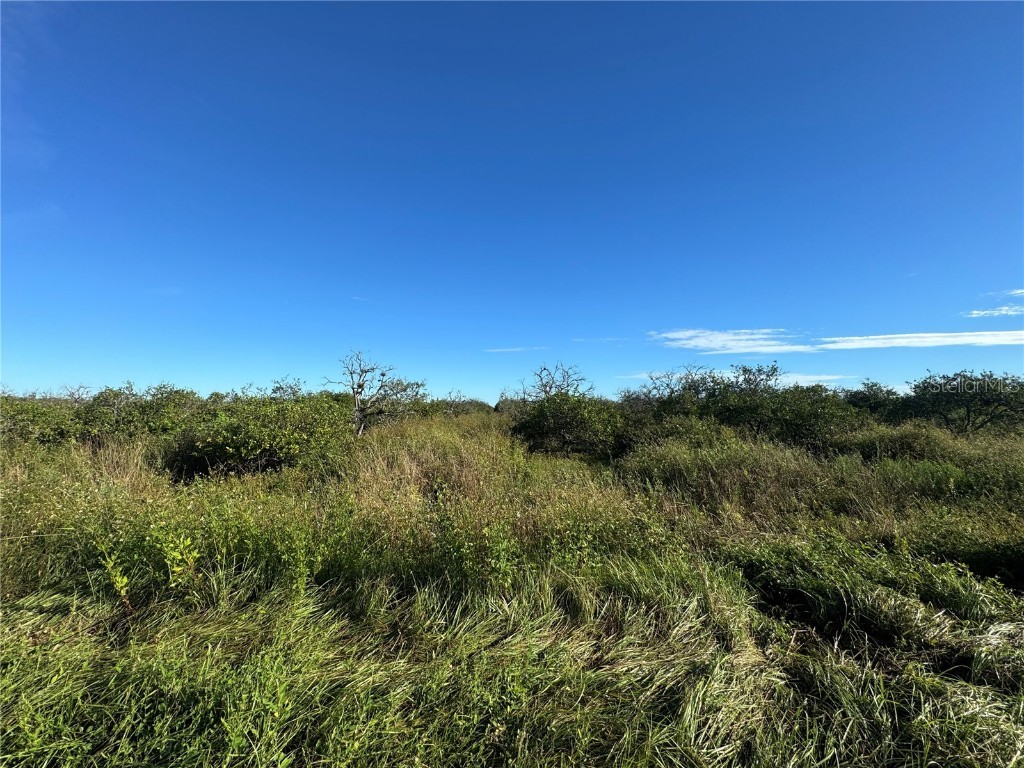 NE Highway 70 Arcadia FL 34266 C7514751 image3