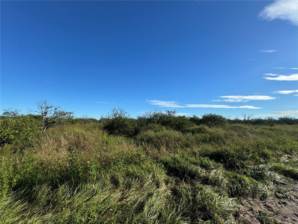 NE Highway 70 Arcadia FL 34266 C7514751 image4