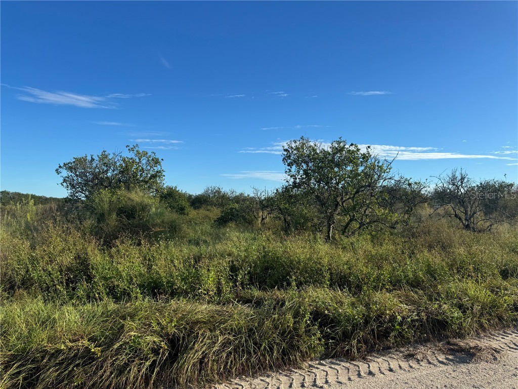 NE Highway 70 Arcadia FL 34266 C7514753 image1