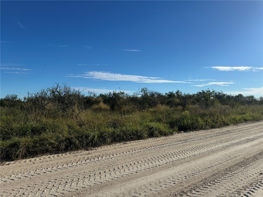 NE Highway 70 Arcadia FL 34266 C7514753 image2