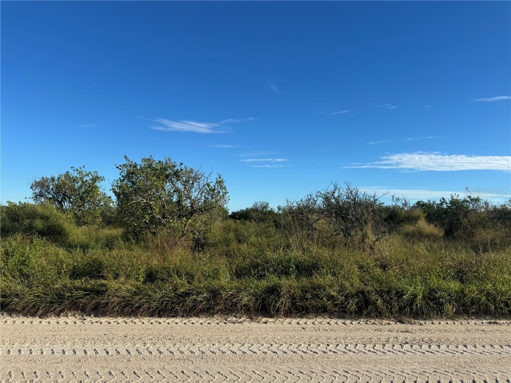 NE Highway 70 Arcadia FL 34266 C7514753 image3