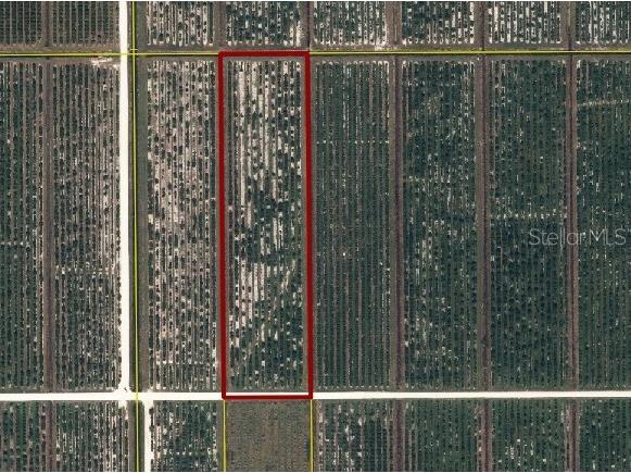 NE Highway 70 Arcadia FL 34266 C7514753 image5