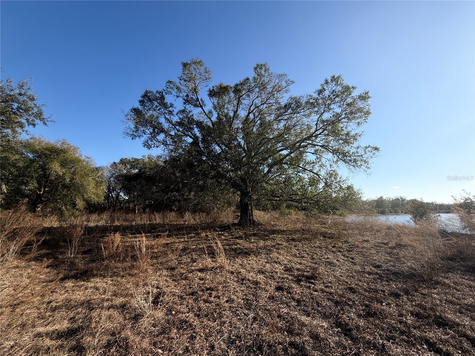 100ac Ne Hwy 17 Arcadia FL 34266 C7521584 image10