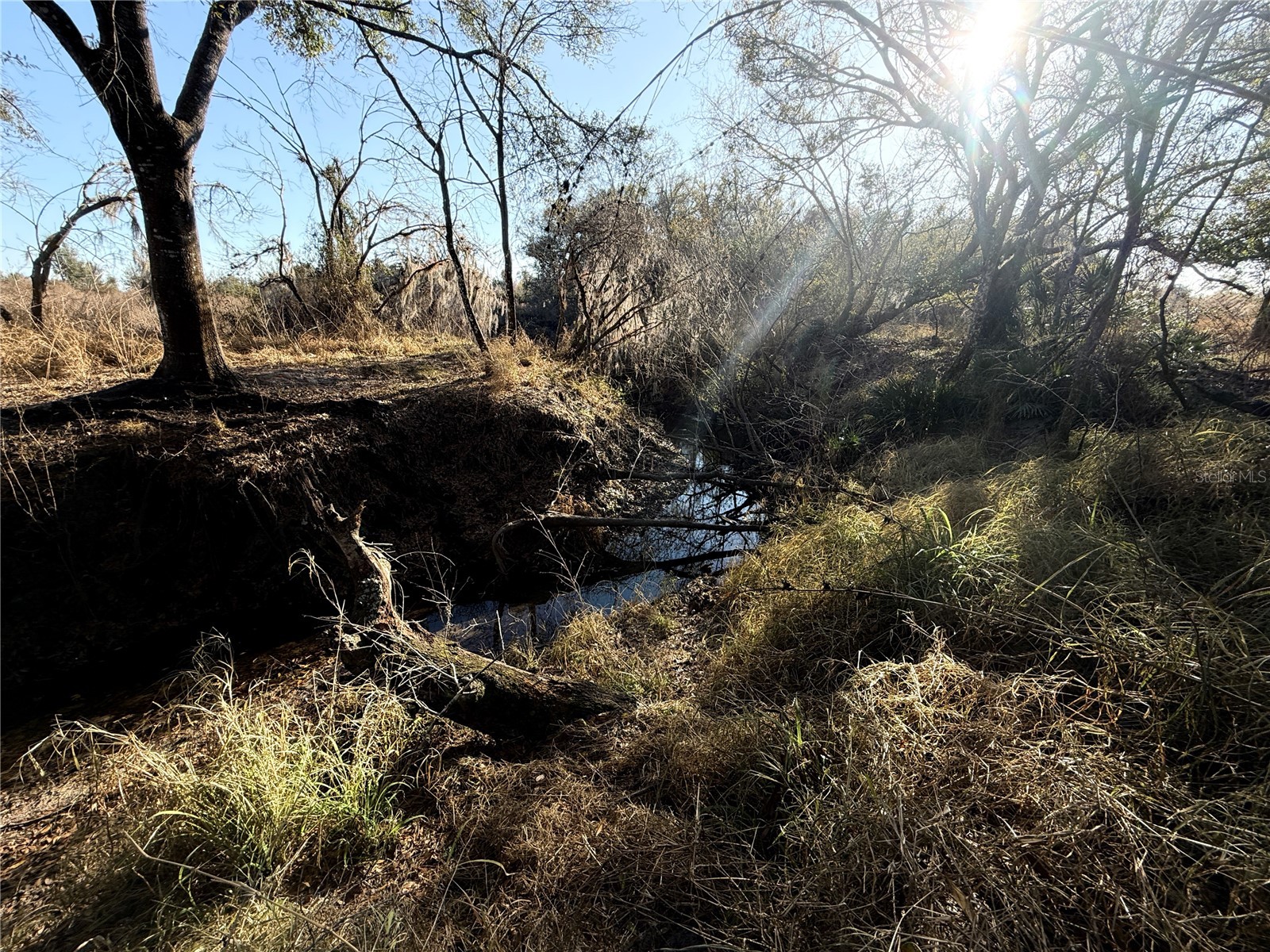 100ac Ne Hwy 17 Arcadia FL 34266 C7521584 image11