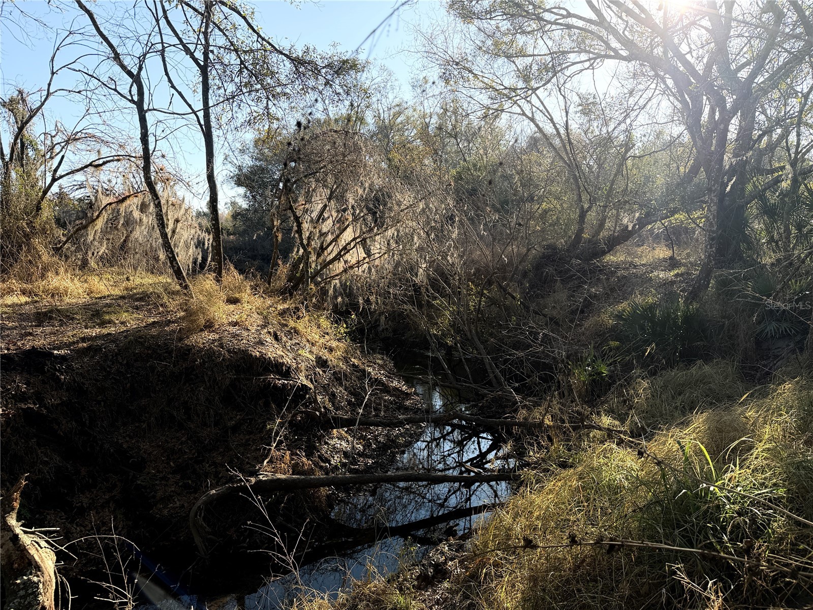 100ac Ne Hwy 17 Arcadia FL 34266 C7521584 image12