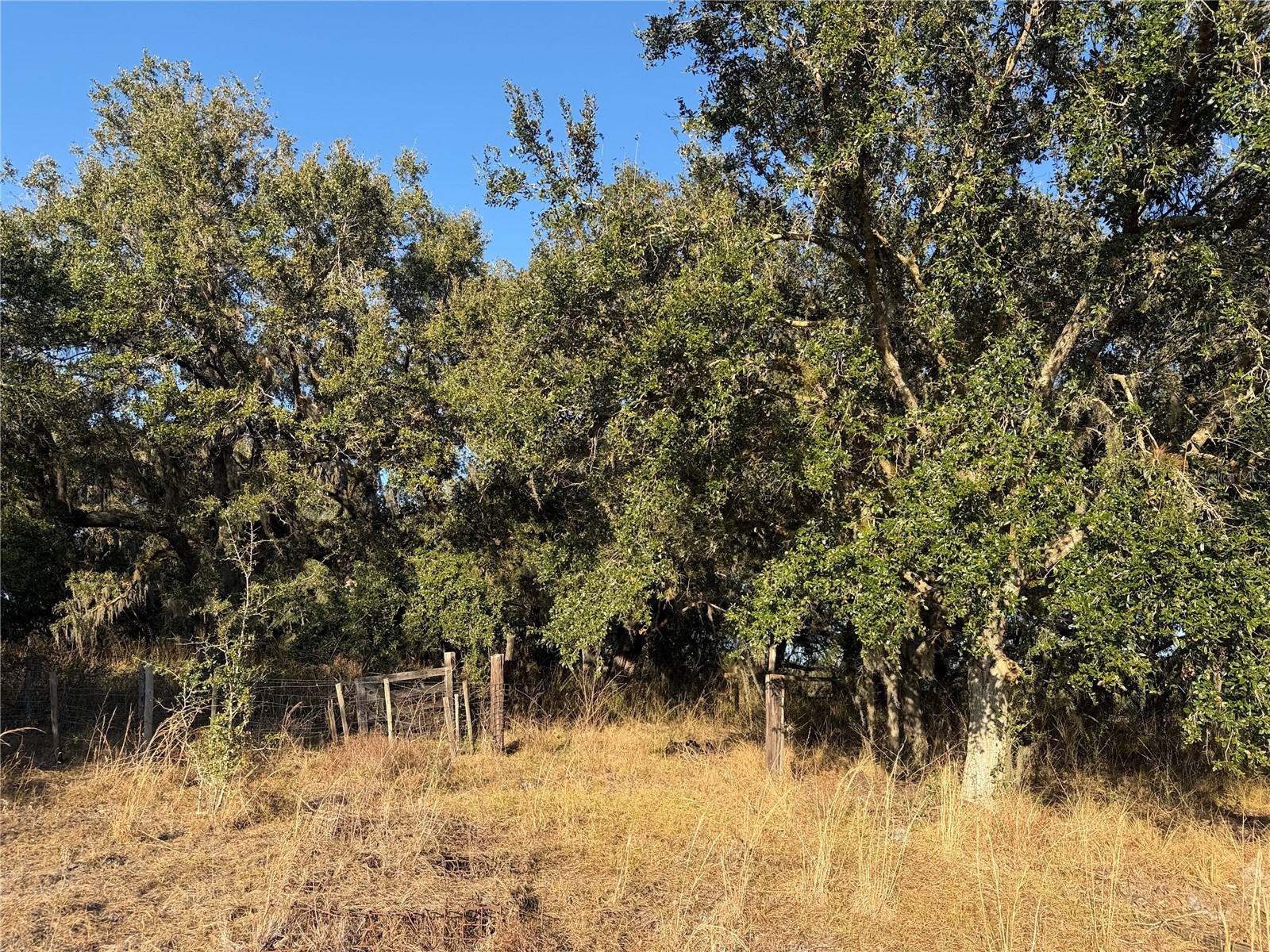 100ac Ne Hwy 17 Arcadia FL 34266 C7521584 image13