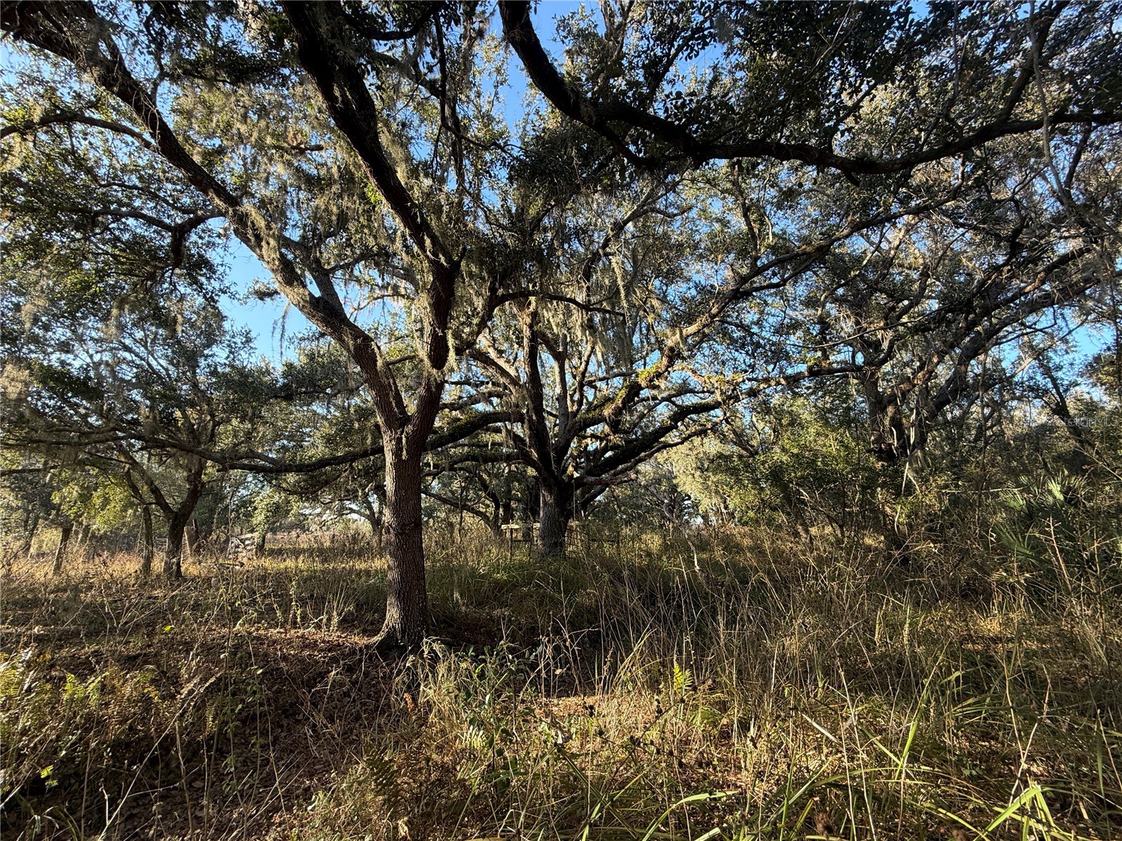 100ac Ne Hwy 17 Arcadia FL 34266 C7521584 image14