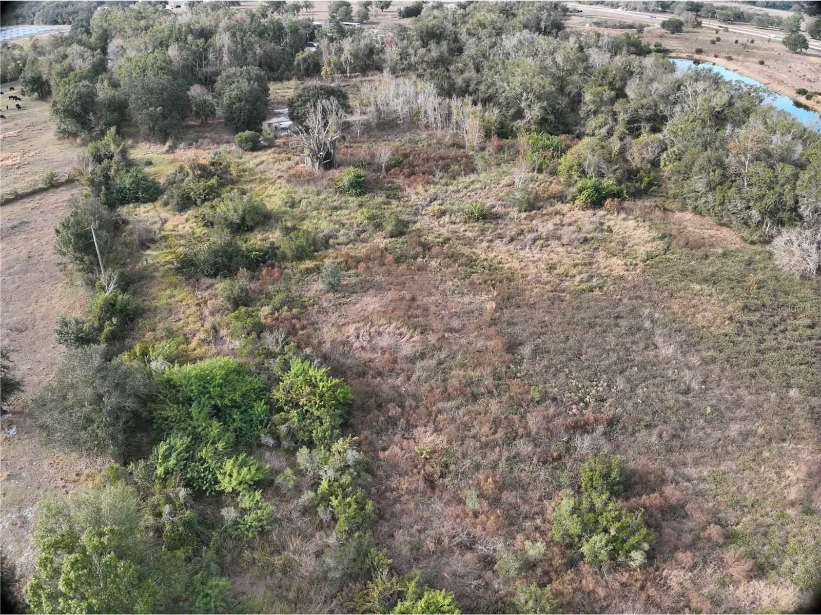 100ac Ne Hwy 17 Arcadia FL 34266 C7521584 image22