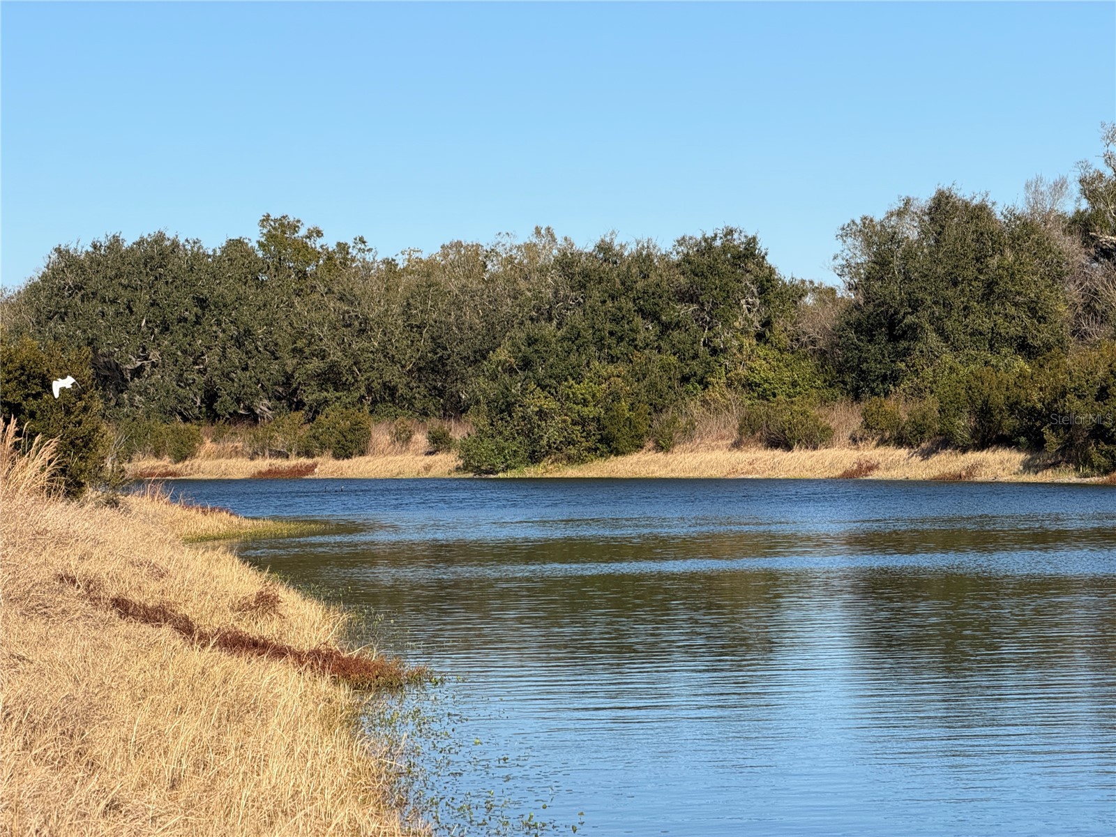 100ac Ne Hwy 17 Arcadia FL 34266 C7521584 image3