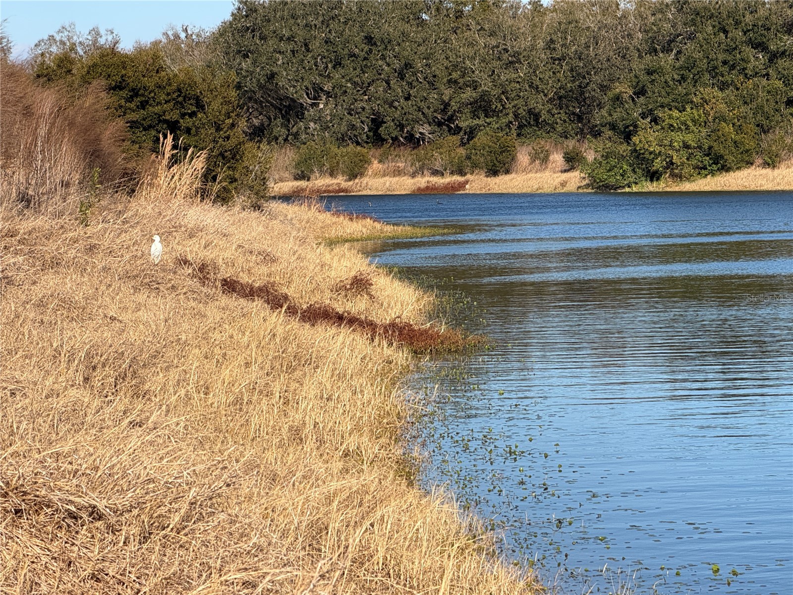 100ac Ne Hwy 17 Arcadia FL 34266 C7521584 image4