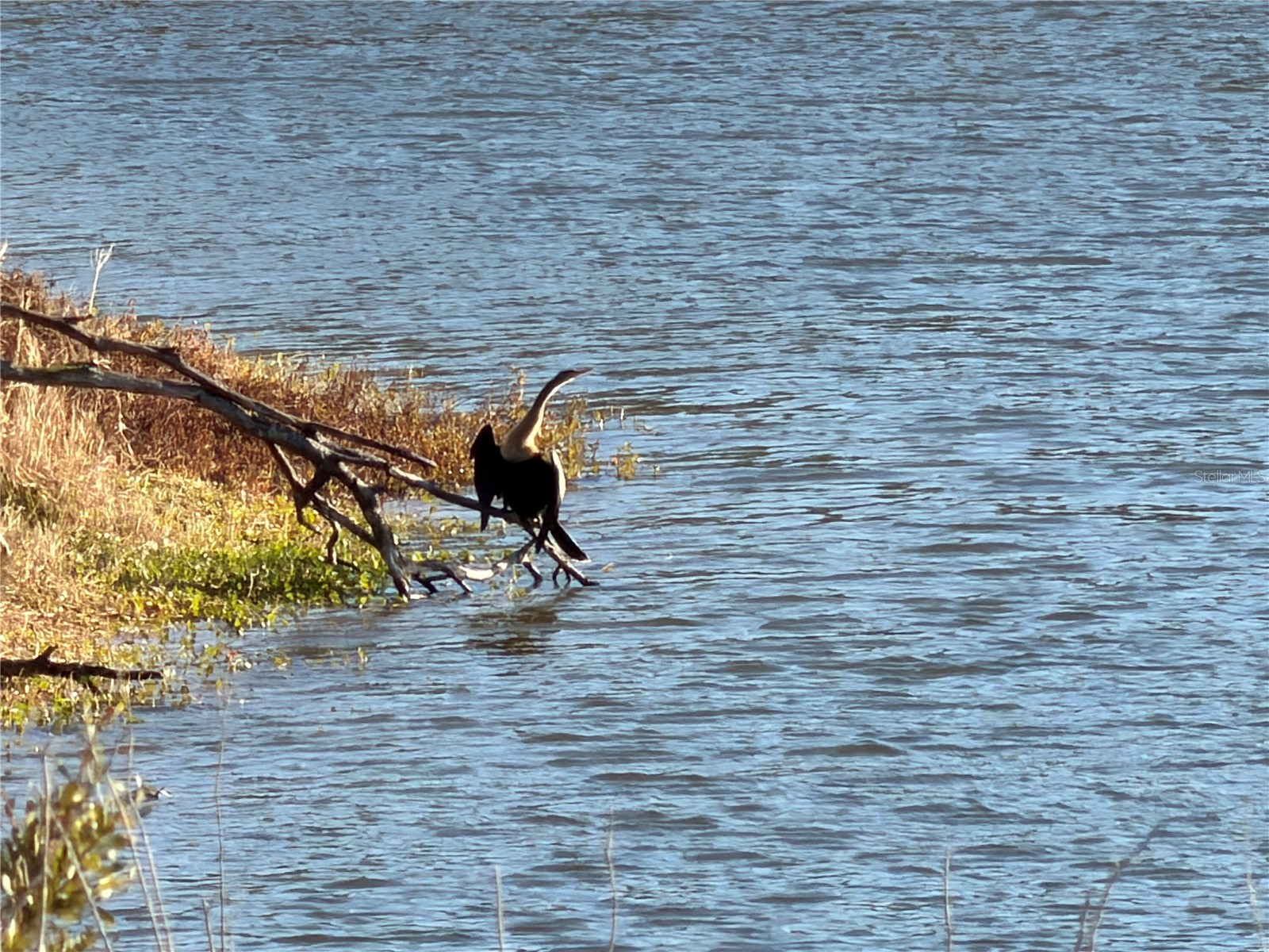 100ac Ne Hwy 17 Arcadia FL 34266 C7521584 image7